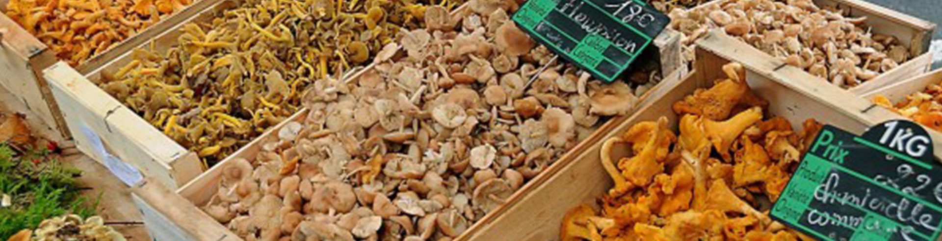 La fête des champignons à Saint-Bonnet-le-Froid