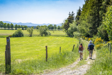 Auvergne Rhone Alpes - Haute-Loire - Randonnée sur le chemin de Compostelle de Genève au Puy-en-Velay, à l'approche de Montfaucon.